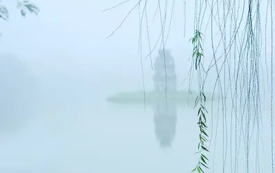 43787894_10156453481896352_8188920835671588864_n.webp