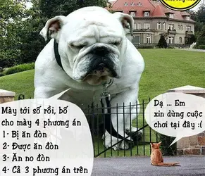 1591157734204.webp