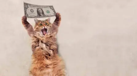 115538