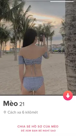 115664