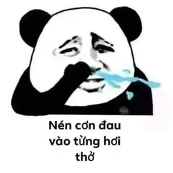 116250 116250