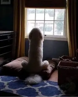 117892
