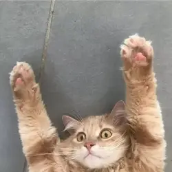 118159
