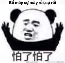 118225