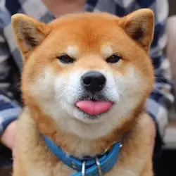 12841