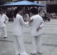 v2-1586072441658289725252.gif