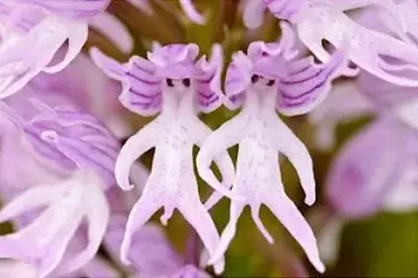 127930