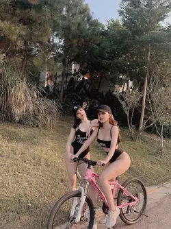 13081