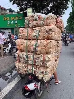 130081