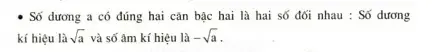 1594876027418.webp