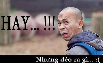 HAY.webp
