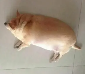 141363