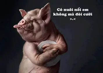 C0A0D927-D5DF-4014-854D-52CE27E570DC.webp