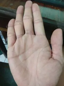 15716377871111884443179.webp