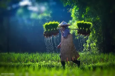 724C7D55-A907-4702-AD4E-986AEFF5E519.webp