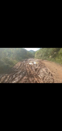 Screenshot_2020-09-04-01-46-01-856_com.google.android.apps.photos.webp