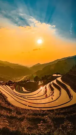 9C1CDAF8-F234-4150-8AF7-3D6711025594.webp