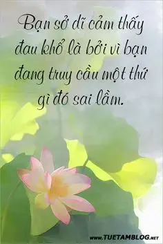 1B550D71-5C3E-46EC-975B-E7E55E94C8C8.webp