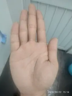 17063