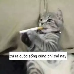 172778