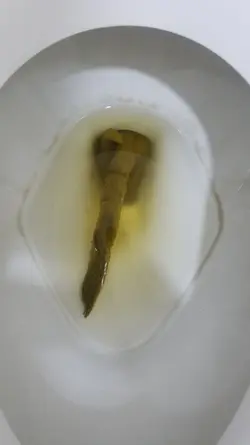 175488