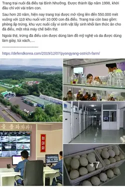 175554