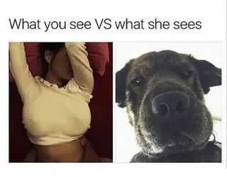 177454