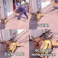 179539