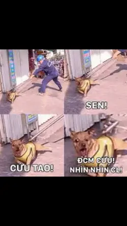 2AF4E8FB-7EE0-4171-8D4A-1C615C509D86.webp