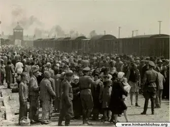 newcomers+of+auschwitz_result.webp