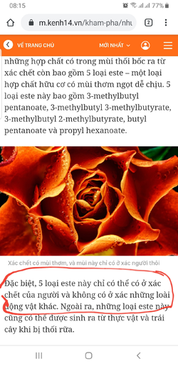 Screenshot_20201002-081558_Chrome.webp