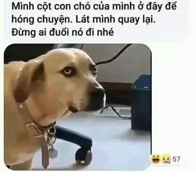 204471