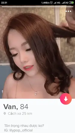 21536