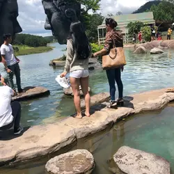 1 (1).jpg
