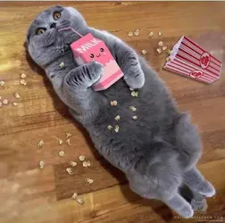 FB_IMG_1603385191776.webp