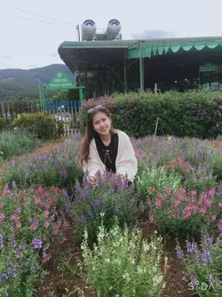 1204cbd900d9ec87b5c8.webp