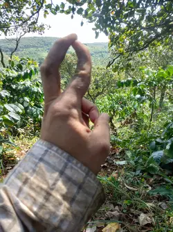 217311