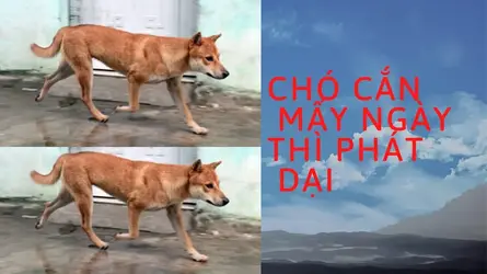 220888
