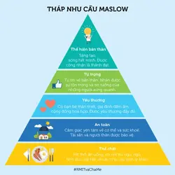 maslow3-3875733050-1518618514460.webp