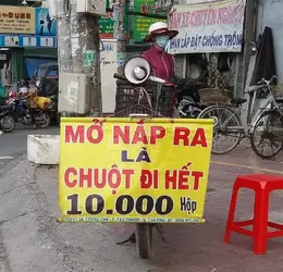 223366
