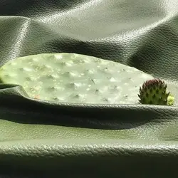 223504