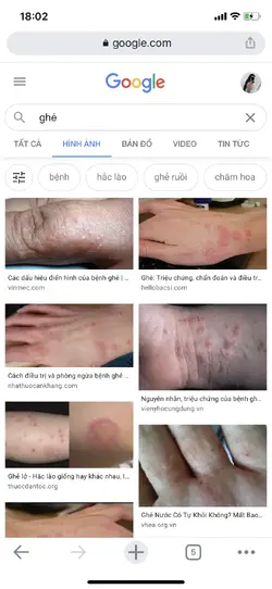 4E5217BB-76EC-454D-9A58-7C09ECEEAD01.webp