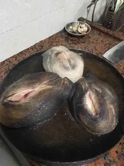 226655