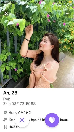 229524