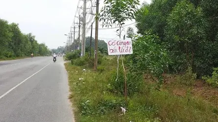 236814 236814