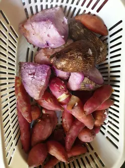 20190426_150544.webp