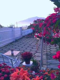 received_1155088111588556.webp