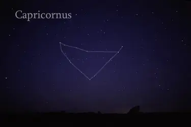 243933 243933