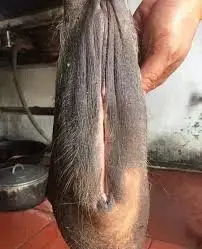 tải xuống.webp