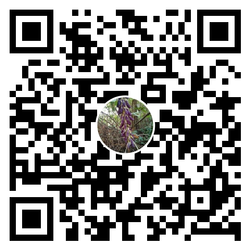 IMG_UPLOAD_20201207_063838.webp
